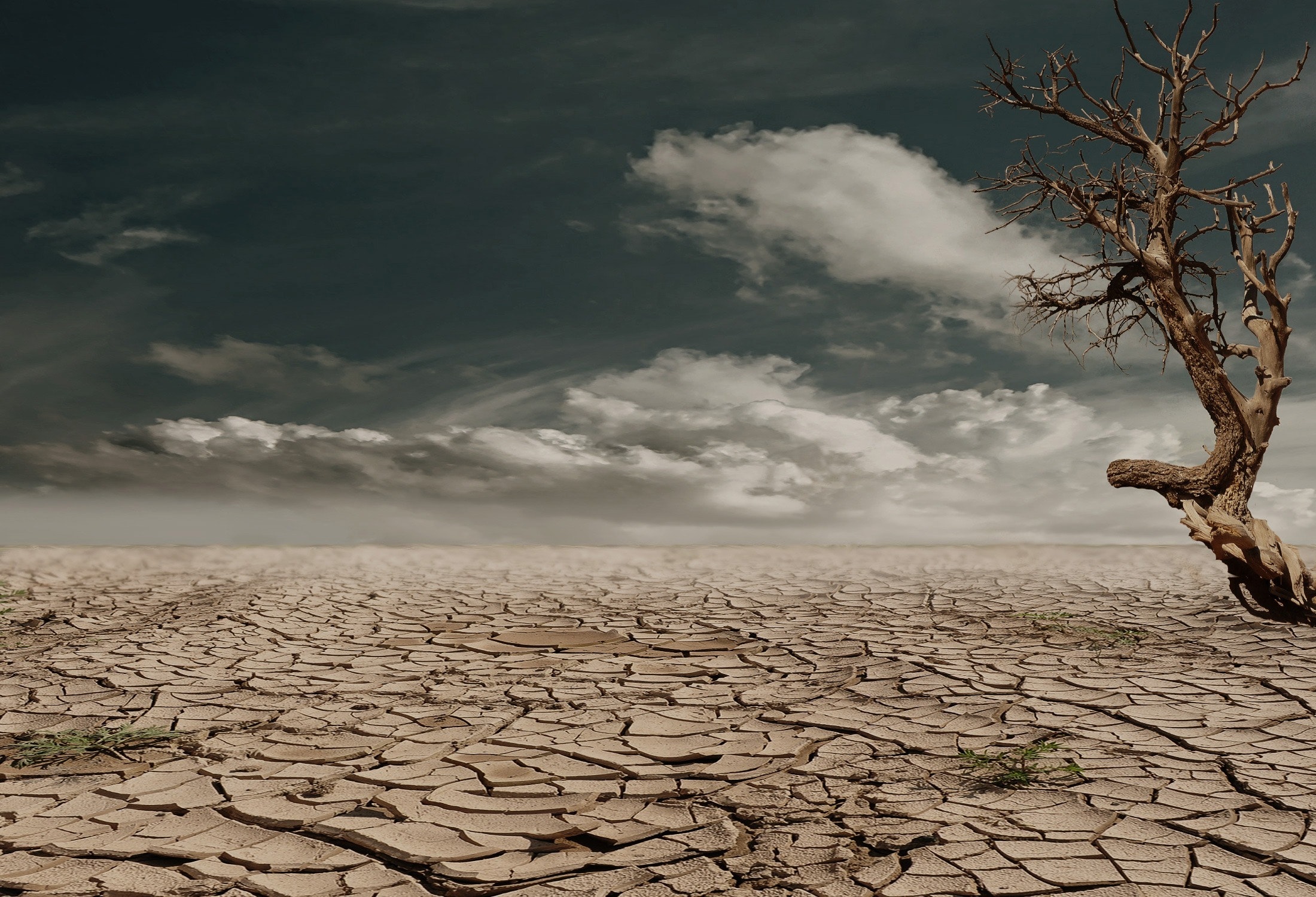 Environmental Consultancy